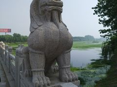 -鉴湖国家城市湿地公园