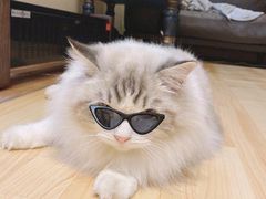 -白箱照相馆·外拍