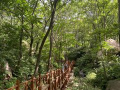 -大岭沟猕猴桃谷风景区