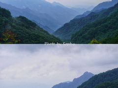 -牛背梁国家森林公园