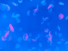 -多彩贵州城极地海洋世界