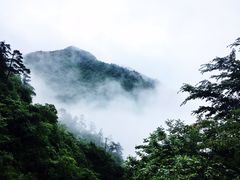 景点-东天目山风景区