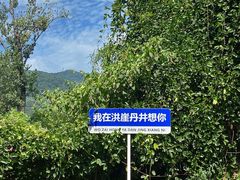 -洪崖丹井