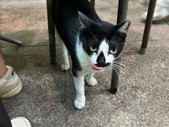 -荔园小馆(园岭新村二期店)