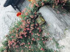 -洪江古商城