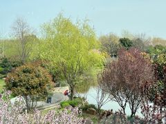 -南阳建业森林半岛假日酒店