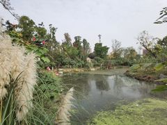 -天府芙蓉园