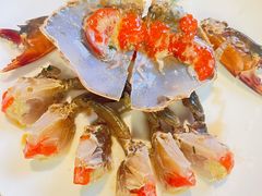 -吴记富苑(朝阳店)