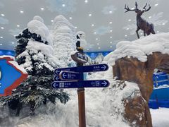 -长沙湘江冰雪世界