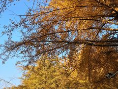 -辽宁大学(崇山校区)