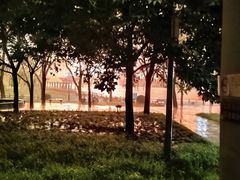 -莲花池公园