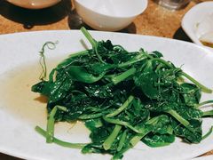清炒豌豆尖-渝信川菜(西单店)