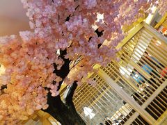 -九田家黑牛烤肉料理(中北镇店)