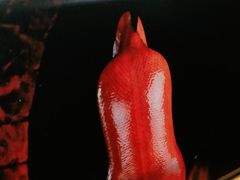 -皇城根·鲁菜济南菜·吊炉烤鸭·炒鸡鱼头(济南旗舰店)