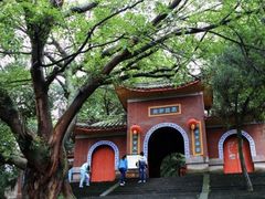-子昂故里文化旅游区