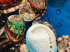 -盒马鲜生(顺义店)