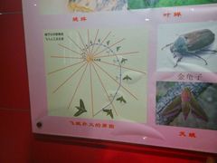 -上海昆虫博物馆