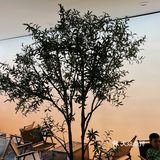 人均20几 店名：Jenny见你 高空景观甜品