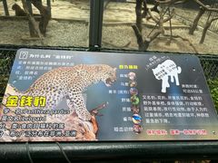 -深圳野生动物园