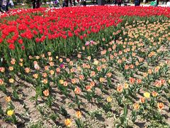 -长春公园(普阳街道)