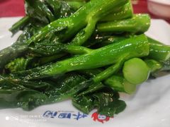 姜汁炒芥兰-林记生蚝·专注生蚝三十载(创意园店)