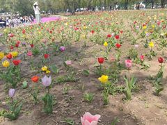 -北陵公园