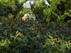 -毓聪妈妈菜(合肥路店)