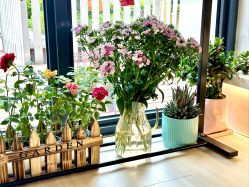 -YesYoga瑜伽普拉提塑形体雕馆