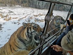-西安秦岭野生动物园