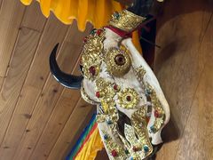 -银同牦牛肉火锅