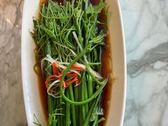 豌豆苗-懒人盐府人家(航天桥店)