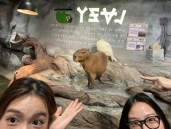 -Zoolung Zoolung动物主题公园(海信广场店)