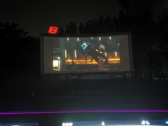 -枫花园汽车电影院(朝阳公园店)