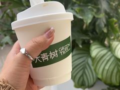 -大青树咖啡(大理古城店)