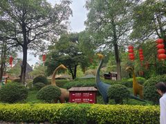 -森波拉火山温泉