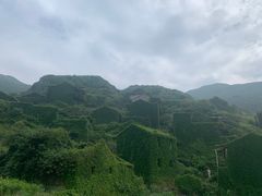 -枸杞岛