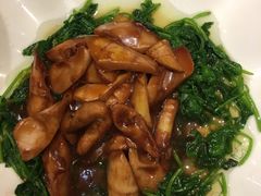-紫阳富豪大酒店(惠南店)