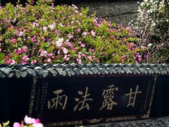 -峨眉山报国寺