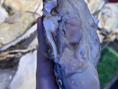 -即墨老公社·海肠捞饭大王(古城店)