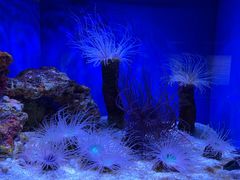 -上海海洋水族馆