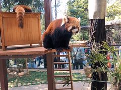 -云南野生动物园