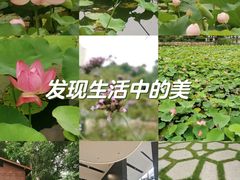 -和平公园