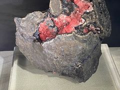 -中国地质博物馆