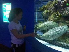 -水上乐园·欢乐世界