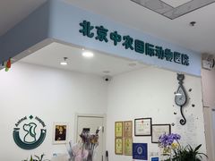 -中农国际动物医院24小时·猫科·骨科·急重症中心