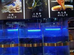 水产区-蛙一刀·麻椒鱼火锅(金仙桥店)