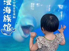 -泉城欧乐堡海洋极地世界