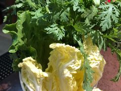 蔬菜拼盘-幸运牛汕头小黄牛牛肉火锅(梅林店)