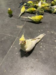 -酷嗒动物文化乐园(cutezoo西溪乐天城店)