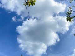 -花开海上生态园